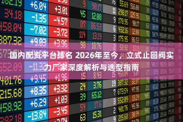 国内配资平台排名 2026年至今，立式止回阀实力厂家深度解析与选型指南