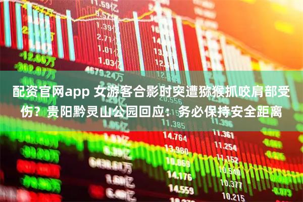 配资官网app 女游客合影时突遭猕猴抓咬肩部受伤？贵阳黔灵山公园回应：务必保持安全距离